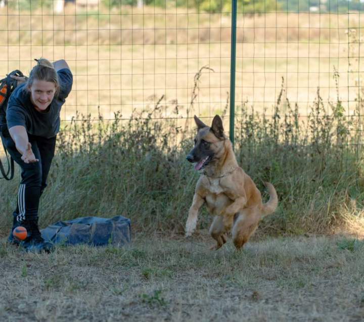 Accompagnement personnalisé par notre éducateur canin diplômé