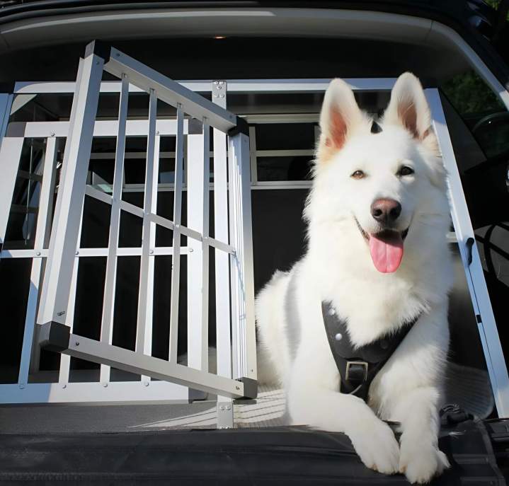 Transport pour chien Haute-Garonne