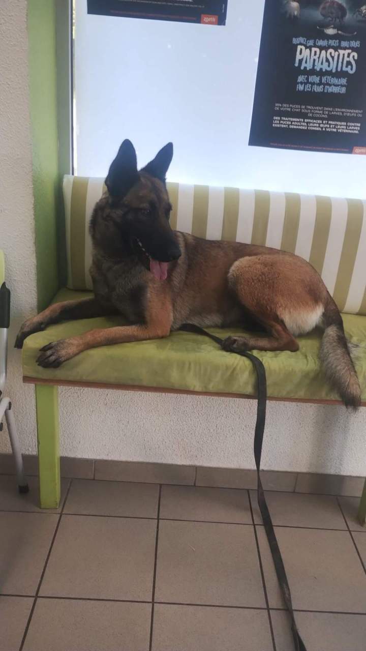 Sky du Domaine de Poumecoste