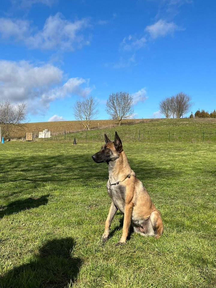 Sky du Domaine de Poumecoste 