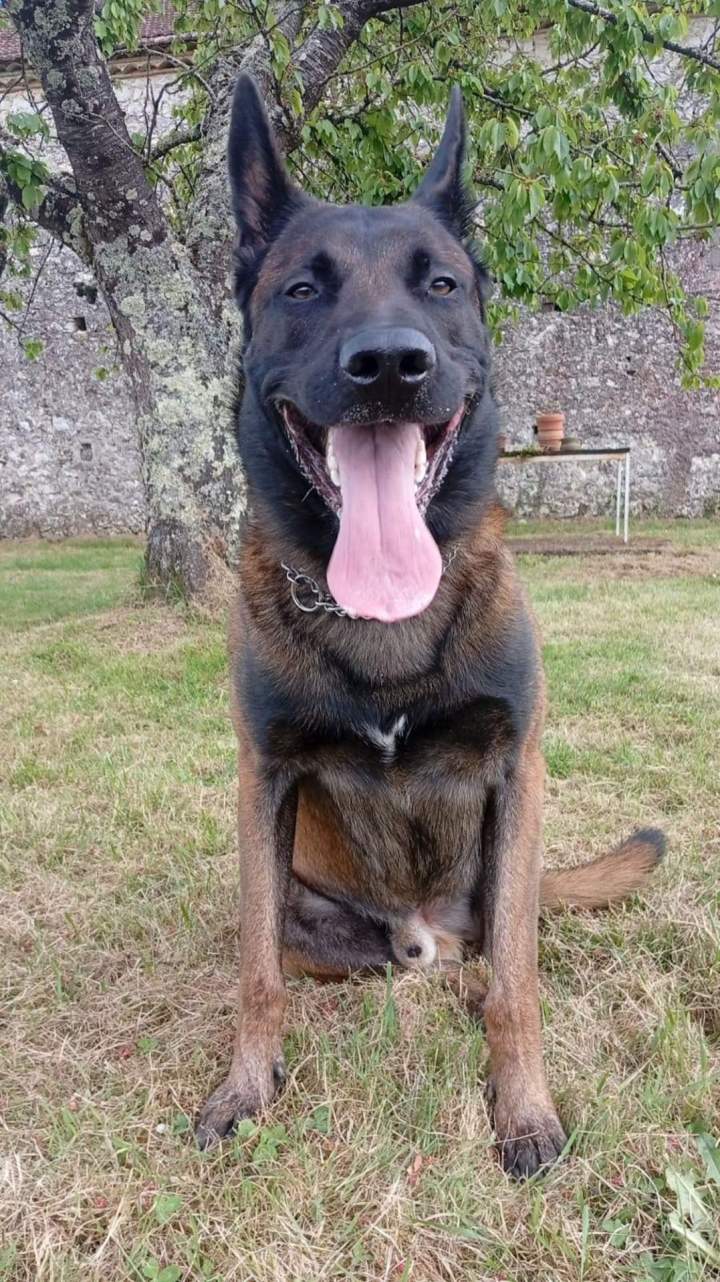 Tyron du Domaine de Poumecoste