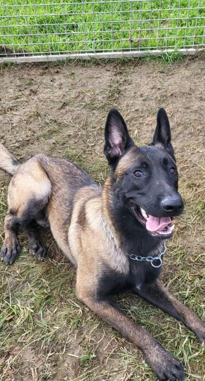 Usher du Domaine de Poumecoste