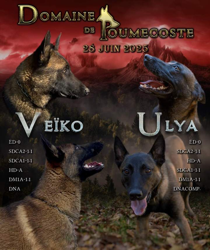 pro zeJn0zU0